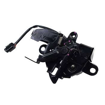 Amazon.com: New Hood Latch Lock for 2008-10 Toyota